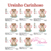 Ursinho Carinhoso (2)